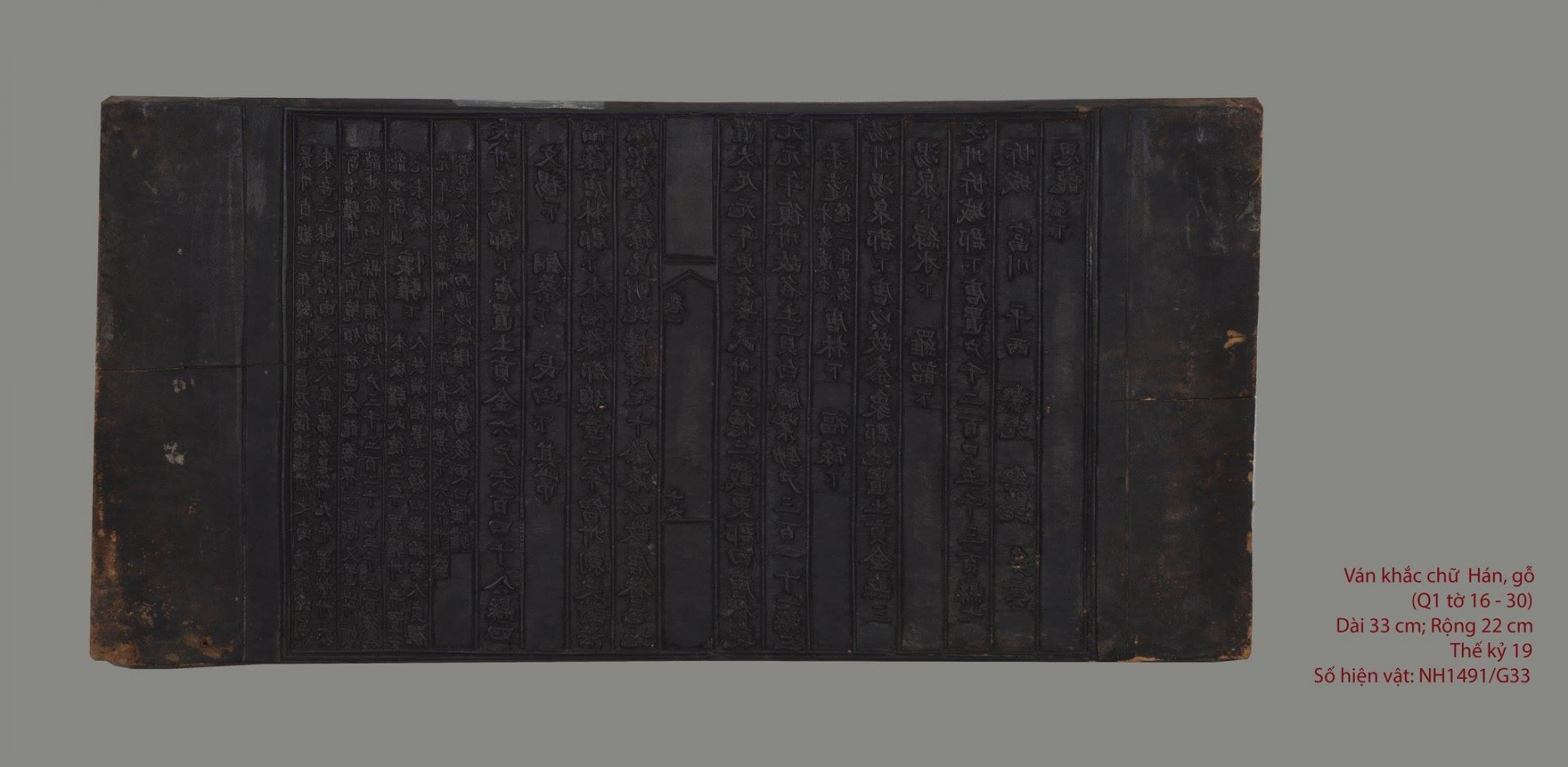 12794991 208816262839425 7967885099499865650 o